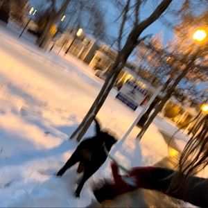 Meet your Posher, Sofia